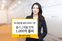 KB자산운용, '법인용 달러 MMF 1호' 출시 2개월...설정액 1000억 돌파
