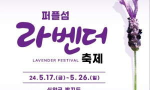 신안군, 전국 최대규모 라벤더 꽃 축제 퍼플섬서 개최