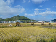 일본의 신규 취농 지원정책 탐구 ⓛ