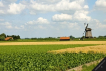 농업 선진국 네덜란드, 스마트팜 loT 통신에 '인공위성' 활용