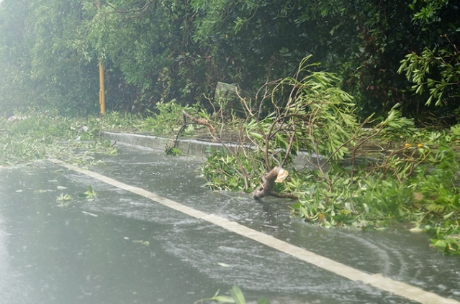 22일 오전 10시. 제 17호 태풍 '타파'가 제주시를 덮쳤다. 강한 비바람에 꺽인 나뭇가지들이 도로변 위로 떠내려 가고 있다.