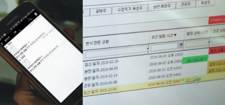 23일 김성규 대표가 자신의 스마트폰과 연동형 컴퓨터를 통해 축사를 실시간 모니터링하고 있다.