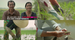 베트남, '하이브리드 쌀'로 되찾은 메콩 강의 기적