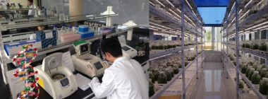 중국 한의학 품은 암웨이, 세계 최초 식물연구센터 짓다