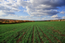 버진아일랜드 농업, 스마트팜 도입으로 농가 수요 증가
