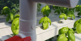 미래 농업의 기준, LED 식물 재배기