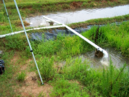 쌀이 농지의 물을 걸러낼 수 있을까?
