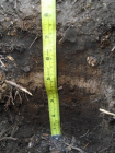 토양내 아질산염, 표준 추출방법