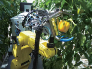 파프리카 수확 로봇 '스위퍼' 탄생