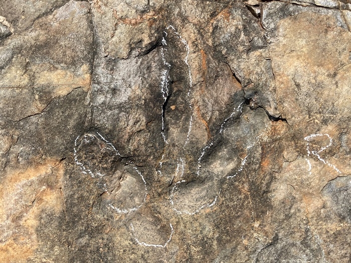 의성군 의성읍 남대천 일원에서 발견된 공룡발자국(분필선안)[사진=의성군]