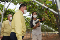 김산 무안군수, ‘기후변화 대응’ 스마트팜 선도 농가 방문