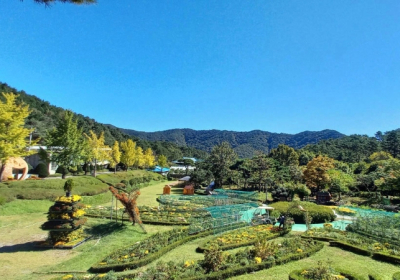 함평군, 자연생태공원서 다채로운 문화행사 펼쳐