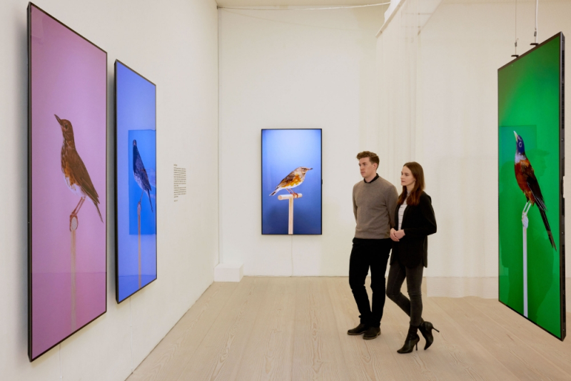 영국 런던 사치갤러리 전시관을 찾은 관람객들이 LG 올레드 TV로 예술 작품들을 감상하고 있다. /사진=LG전자
