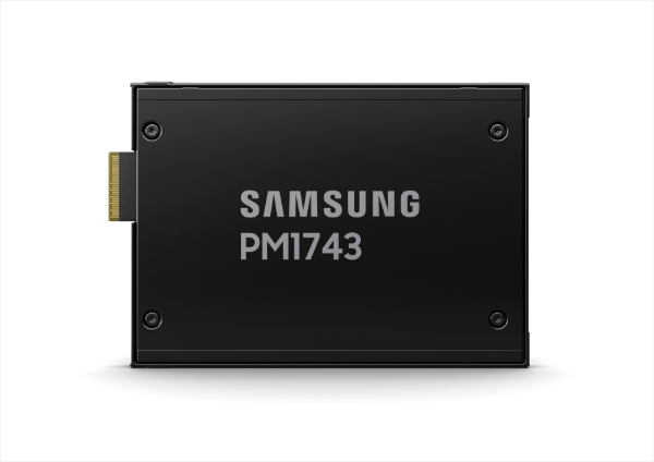PCle 5.0규격 고성능 SSD 'PM1743' /사진=삼성전자
