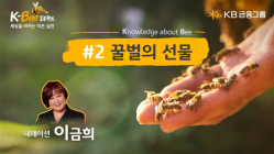 KB금융, ‘꿀벌의 선물’ 영상 공개…‘농업인의 날’ 맞아 도시 양봉의 중요성 전해