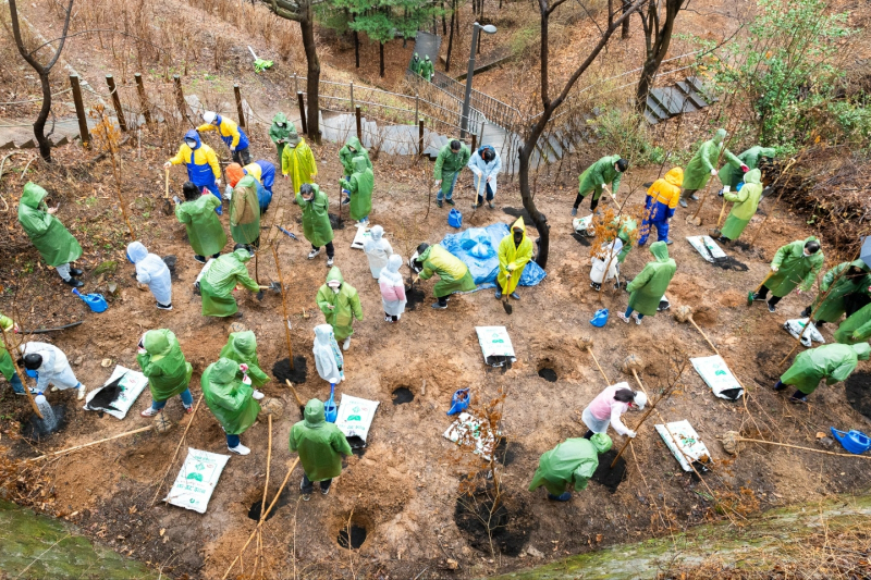 HMM 임직원과 가족 50여명이 지난 26일 마포구 상암동에 있는 매봉산 근린공원에서 기후변화 대응과 탄소중립을 위한 나무심기 봉사활동을 하고 있다. /사진=HMM