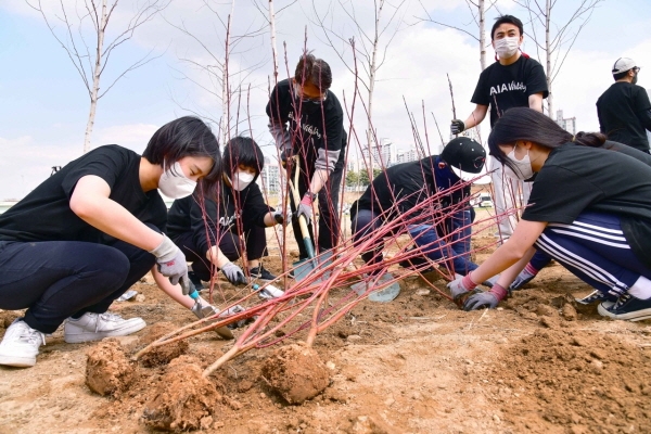 1일 AIA생명 임직원들이 서울 양천구 안양천에서 ‘HLBL(Healthier, Longer, Better Lives) 숲 프로젝트’ 행사에 참여하고 있다.