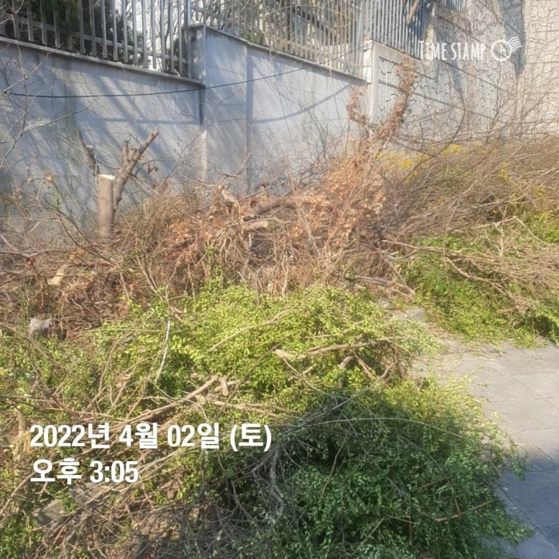 주민들이 가꾼 꽃과 나무가 훼손된 상태다. / 사진=독자 제보