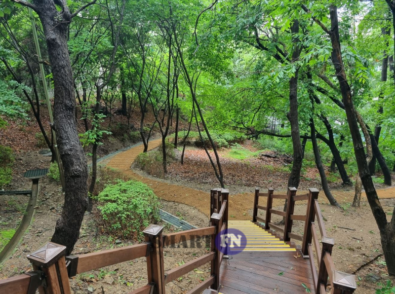 용인시가 정비한 대지산근린공원 산책로 모습(사진=용인시)