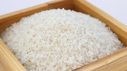 [2022 국감] 수입산 쌀 사용했던 CJ제일제당·오뚜기 