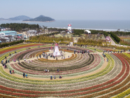 신안군, 2023년 화사한 봄꽃 튤립 축제 개최