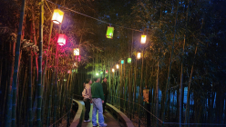담양군, 대나무숲 따라 걸어보는 '달빛산책투어' 참가자 모집