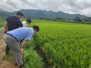영암군, 지역 대표 농산물 달마지쌀 생산·가공 현장 점검