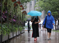 [오늘의 날씨] 전국에 더위 식히는 비...서울 낮 최고 26도