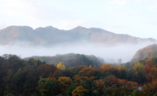 [오늘의 날씨] 포근한 늦 가을…강원 내륙 등 짙은 안개