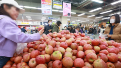 사과 값 고공행진…10kg 도매가격 사상 첫 9만원 돌파