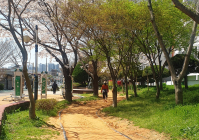 목포시, 따스한 봄 걷기좋은 도시 시민건강 향상 '집중'