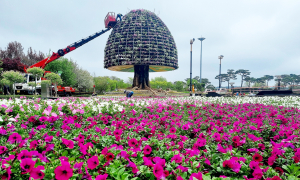 함평군, 나비대축제 개막 준비 '순항'···대형 꽃탑 조성